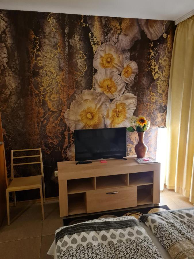 Borovets Holiday Apartments - Different Locations In بوروفتس المظهر الخارجي الصورة