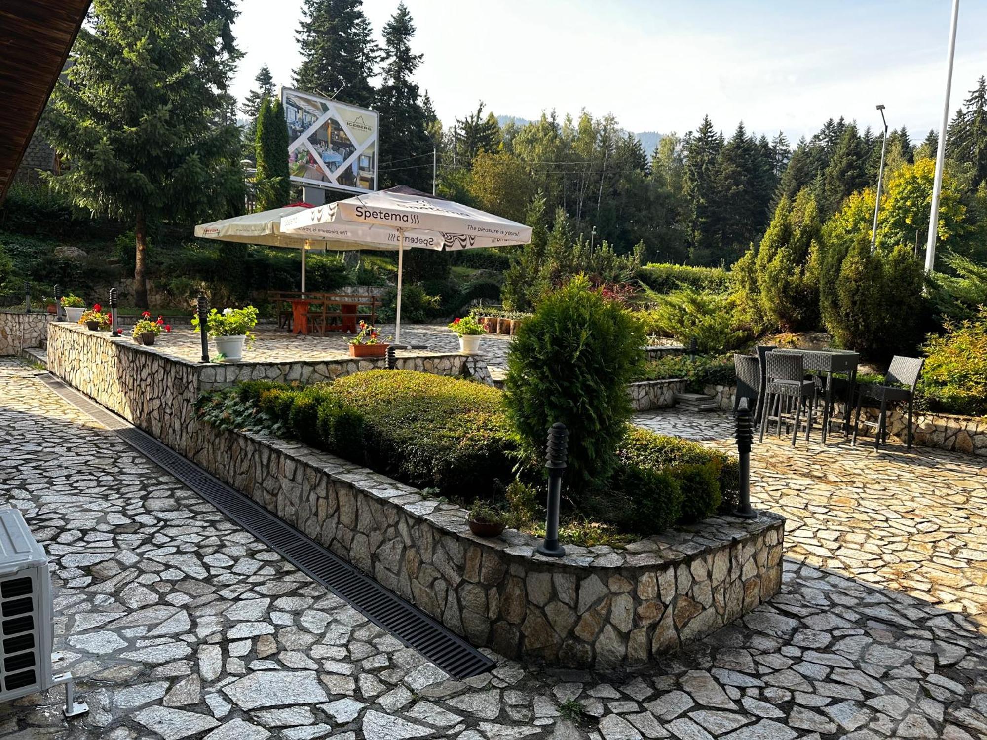 Borovets Holiday Apartments - Different Locations In بوروفتس المظهر الخارجي الصورة